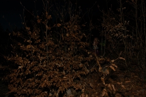 2019_MagieUCD1 038.jpg